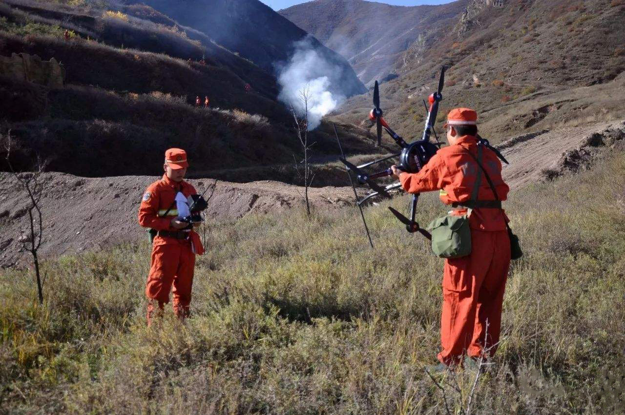 S7501��ɭ�ַ�����đ���